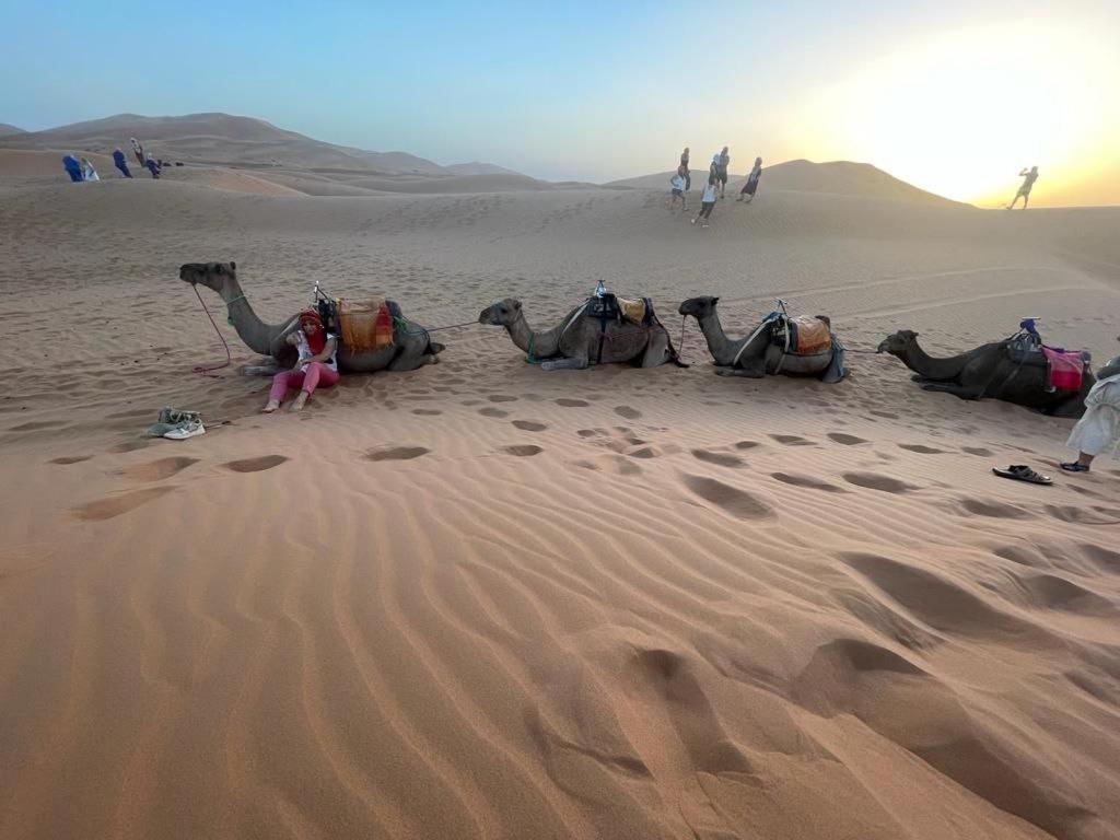 Sahara Luxury Camp Vip 호텔 메르주가 외부 사진