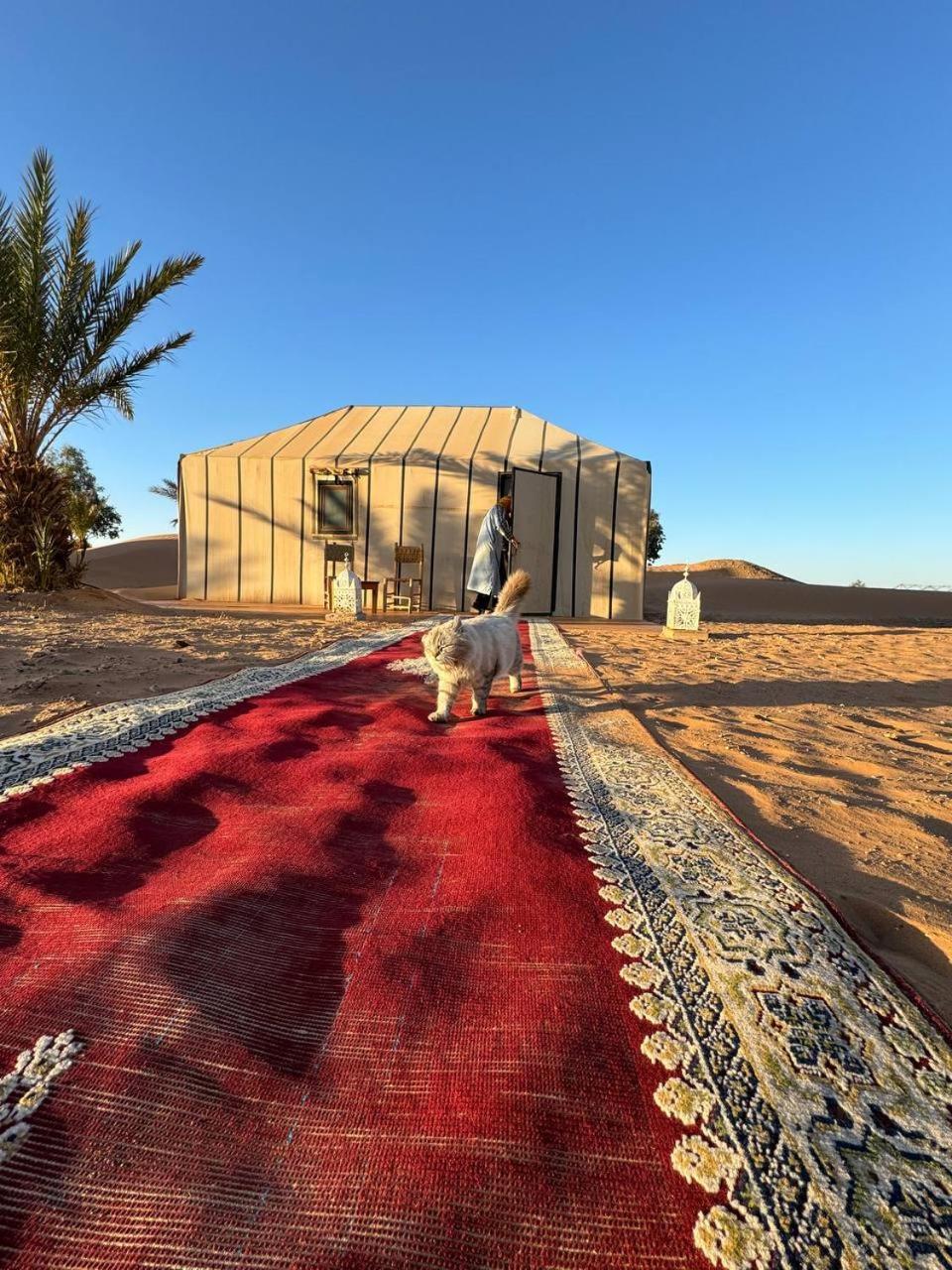 Sahara Luxury Camp Vip 호텔 메르주가 외부 사진