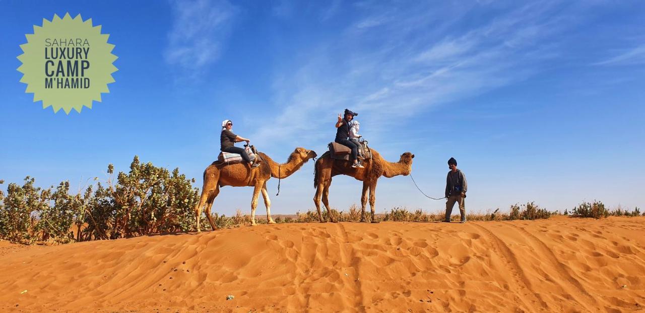 Sahara Luxury Camp Vip 호텔 메르주가 외부 사진