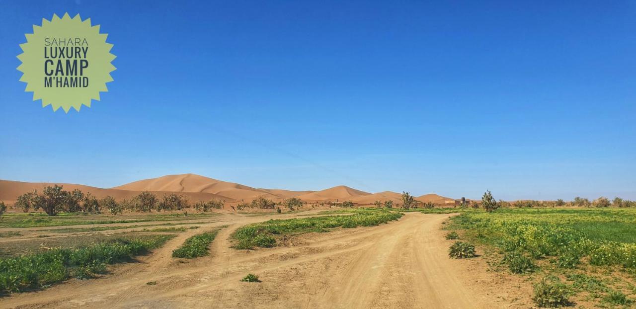 Sahara Luxury Camp Vip 호텔 메르주가 외부 사진